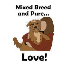 Mongrel Dog-Mixed Breed and Pure Love