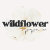 Wildflower Paper Co.