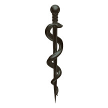 Professional Simple Medical Asclepius Black White