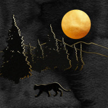 Night Cat in Moonlight