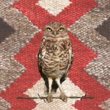 Owls!