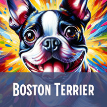 Boston Terrier: Art Gift Collection