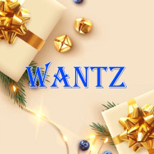 Wantz_Name T-Shirt