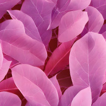 Beautiful Pink Leafy Pattern