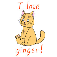 Cute animals collection