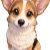 Corgi_Lover_Designs