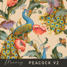Peacock Pattern v2
