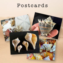 Postcards