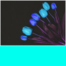 Neon Turquoise Solid Color