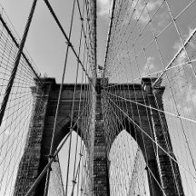 New York City Collection