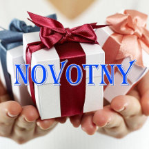 Novotny_Name T-Shirt