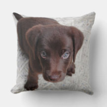 Dog Breed Pillows, Tote Bags and Coffee Mugs