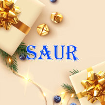 Saur_Name T-Shirt