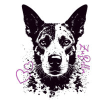 ZuBella Bella and Co. Channel