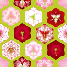 Amaryllis Allover
