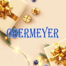 Obermeyer_Name T-Shirt