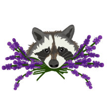 Raccoon with lavender. Raccoon party