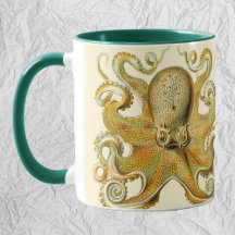 Kitchen Essentials with Ernst Haeckel Designs