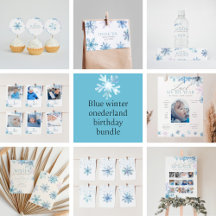 Blue Winter Wonderland 1st birthday collection 