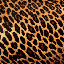 Beautiful Modern Stylish Collection Duffle Bags