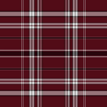Plaid No. 51