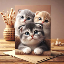 Cat Cards Greeting Postcards Notecards 