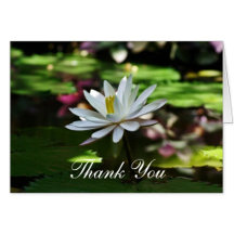Thank You Greetings Cards