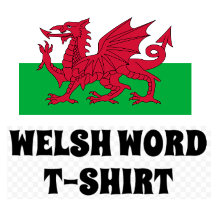 Welsh Word T-Shirt