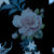 FloralVibe
