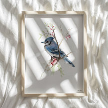 Beautiful Blue Jay Watercolor