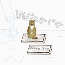 mad cat asking where you were 