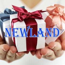 Newland_Name T-Shirt