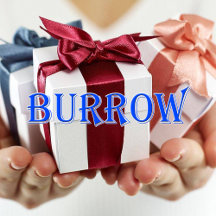 Burrow_Name T-Shirt