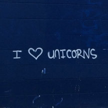 Save The Chubby Unicorn #RhinoConservation