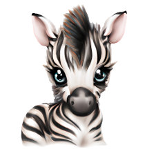 Adorable Baby Zebra