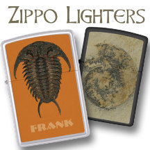 Fossil Lighters