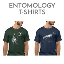 Entomology T-shirts