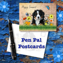 Postcards, Pen Pal
