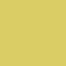Gentle Warm Yellow