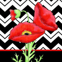 Black and White with Red Poppies