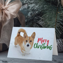 Corgi Snow Photo Christmas Cards & Gifts
