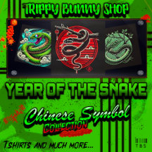 Year of the Snake: Chinese Symbol 2025