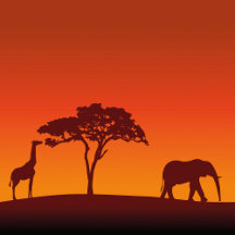 African Safari Silhouette