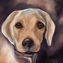 LABRADOR RETRIEVER PORTRAITS 