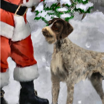 German Wirehaired Pointer Christmas Gifts