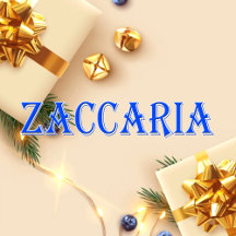Zaccaria_Name T-Shirt
