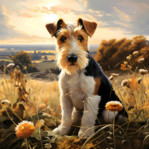 Wire Hair Fox Terrier In Autumn