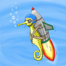 Rocket Seahorse Birthday Collection