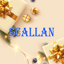 Scallan_Name T-Shirt
