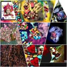 Signs, banners and table 